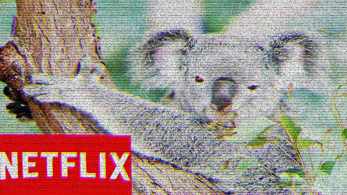 American Netflix in Australia