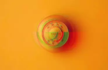 metadata law