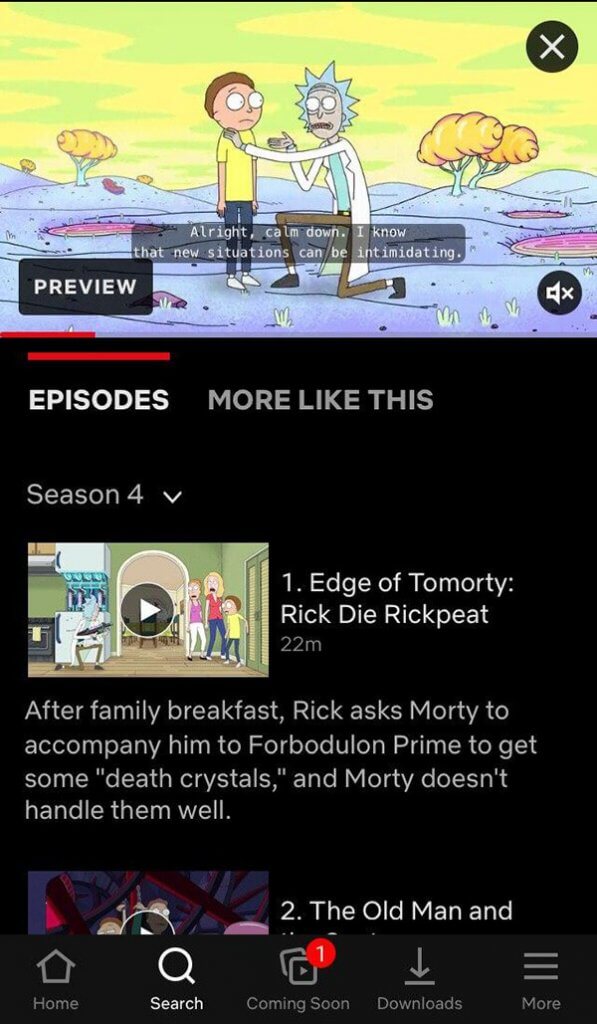 Rick and morty online netflix vpn