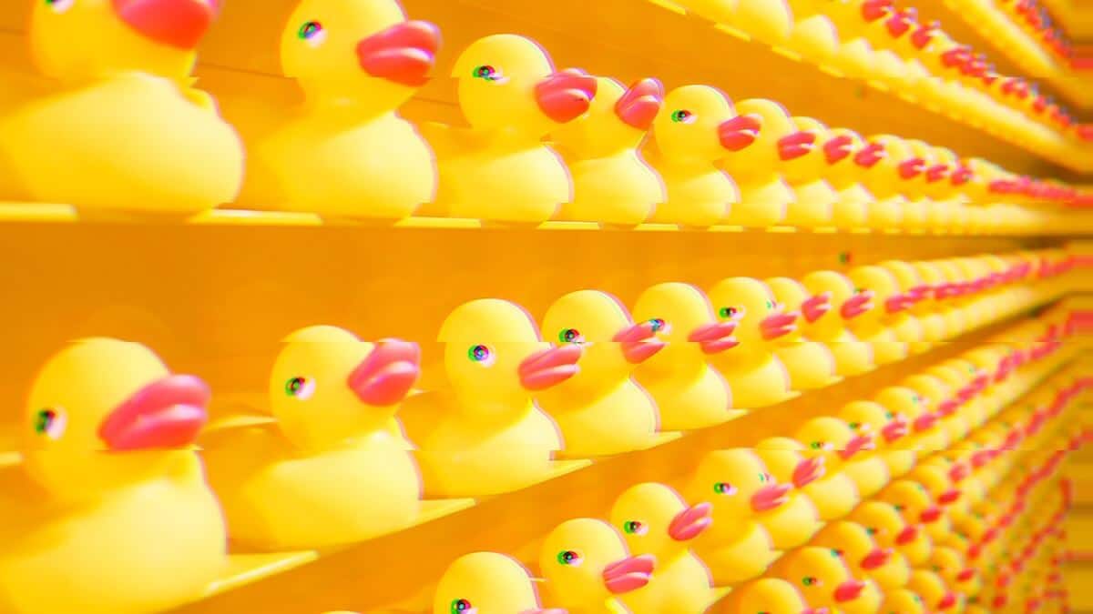 how to choose the right vpn