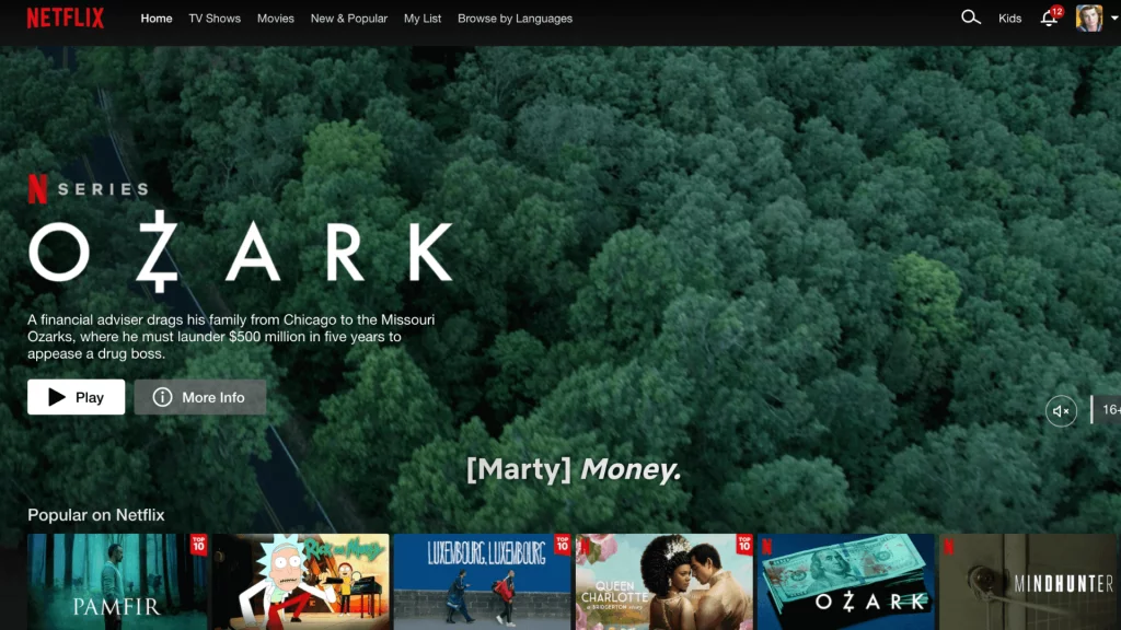 Netflix on Surfshark